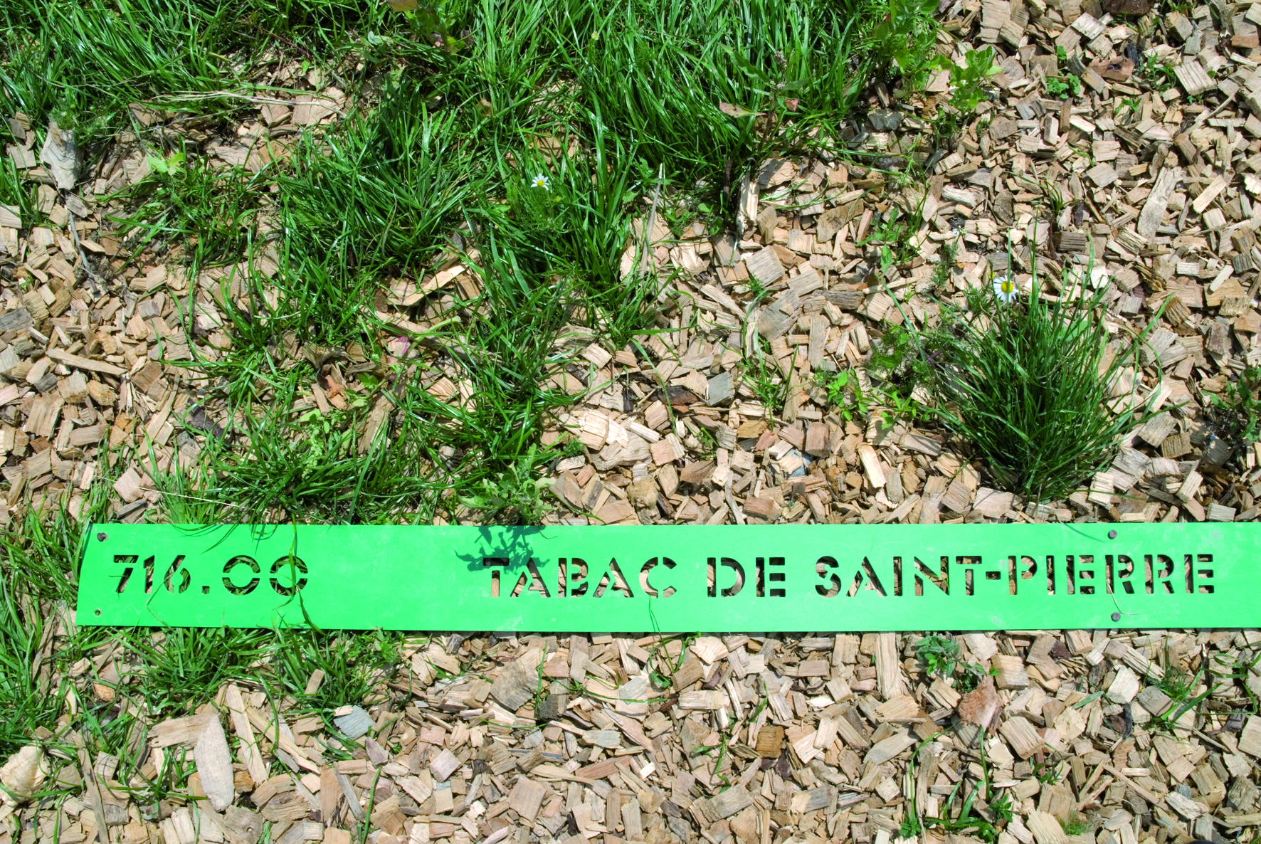 1.1 Topographies végétales ©L.Baud